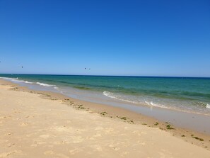 A beach with clear blue water, sandy shore, and footprints.