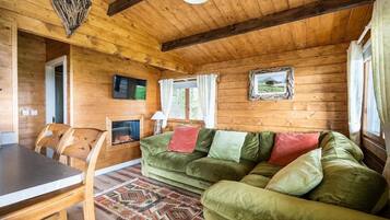 Fernseher, Kamin, Bücher