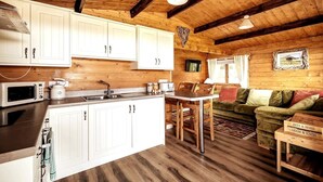 Habitació d'estil cabana acollidora, amb cuina, zona de dinar i un sofà verd.