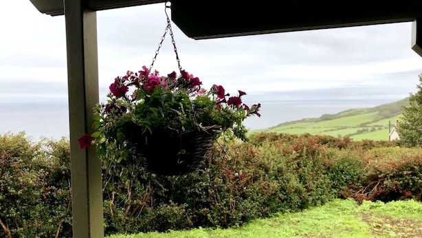 Una cistella de flors penjant a un balcó amb vista a un paisatge verd i turons allunyats.