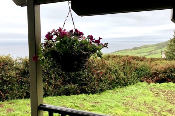 Property grounds - Private luxury log cabin with hot tub and stunning views! (Ballycastle)