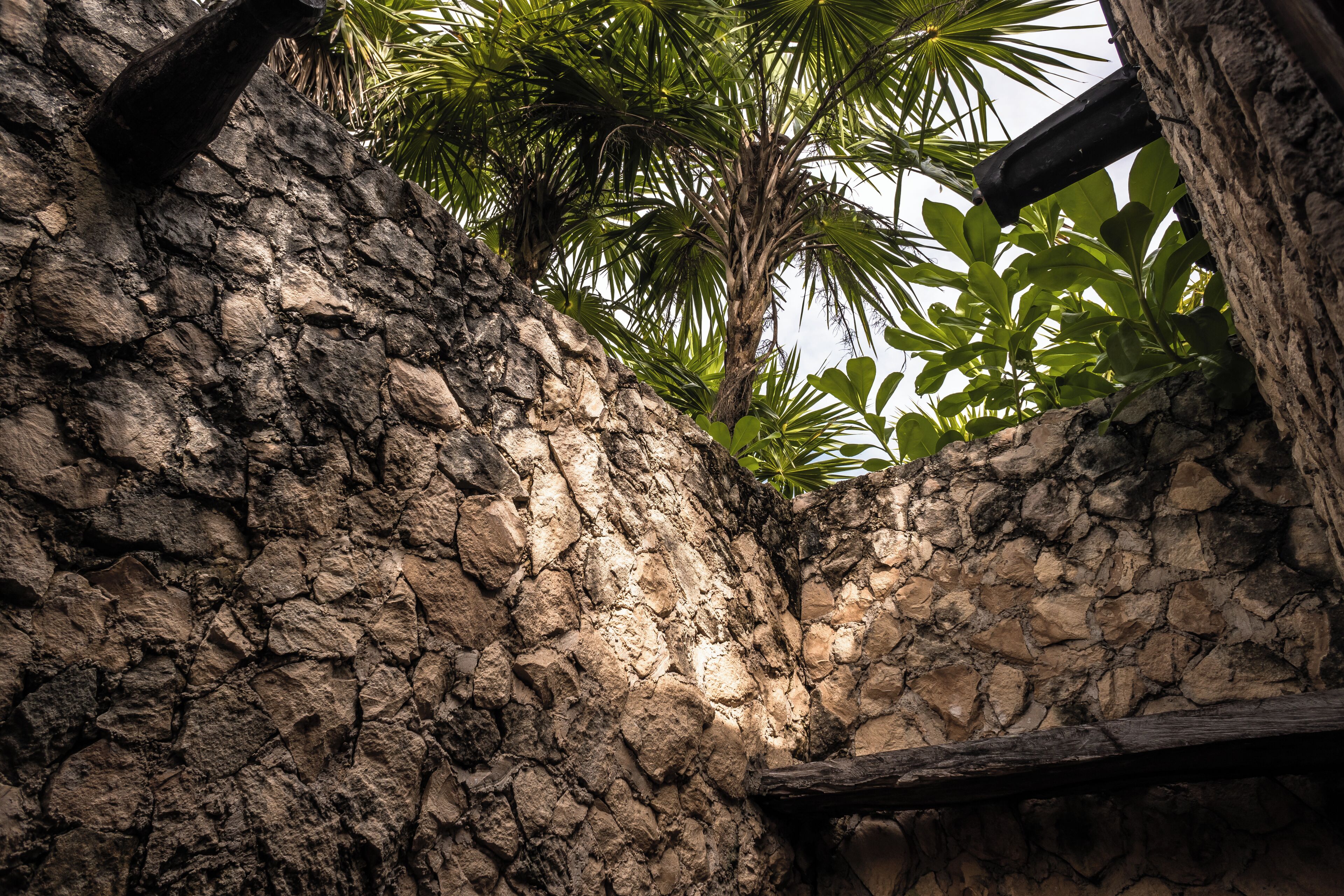 A stone wall with a wooden beam and a palm tree.