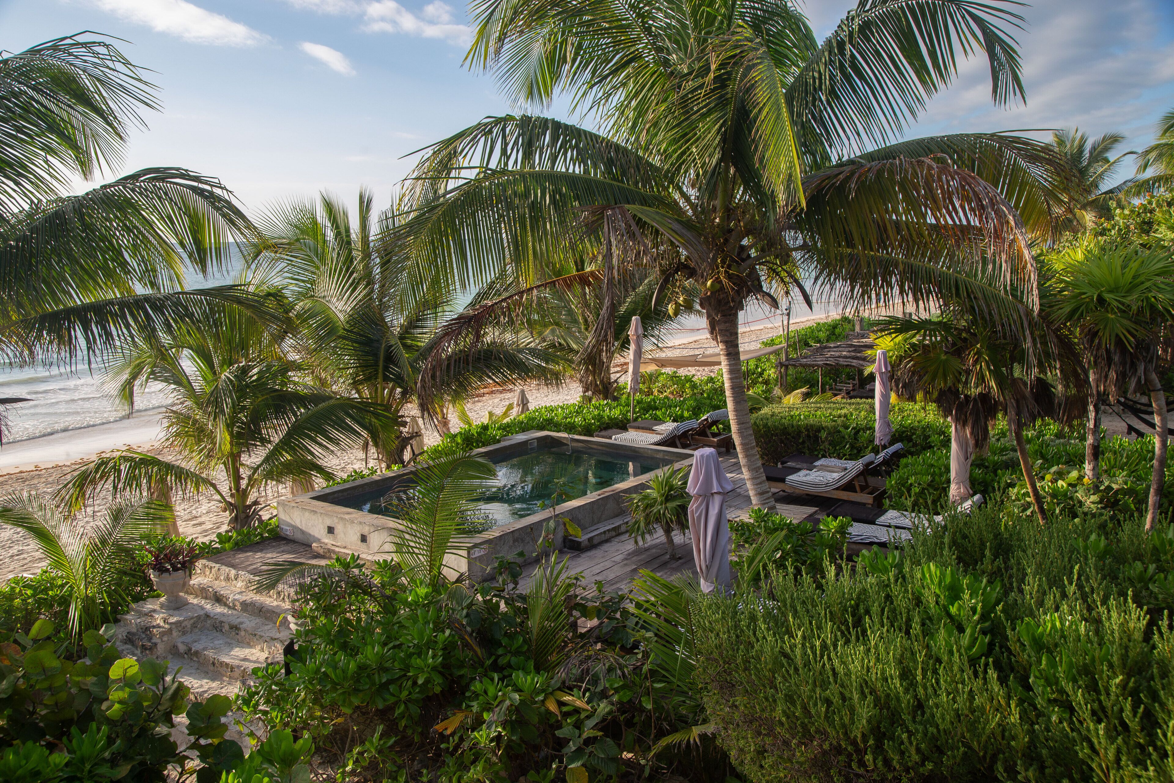 Un espace piscine doté de chaises longues, entouré de palmiers et de verdure, avec vue sur une plage.