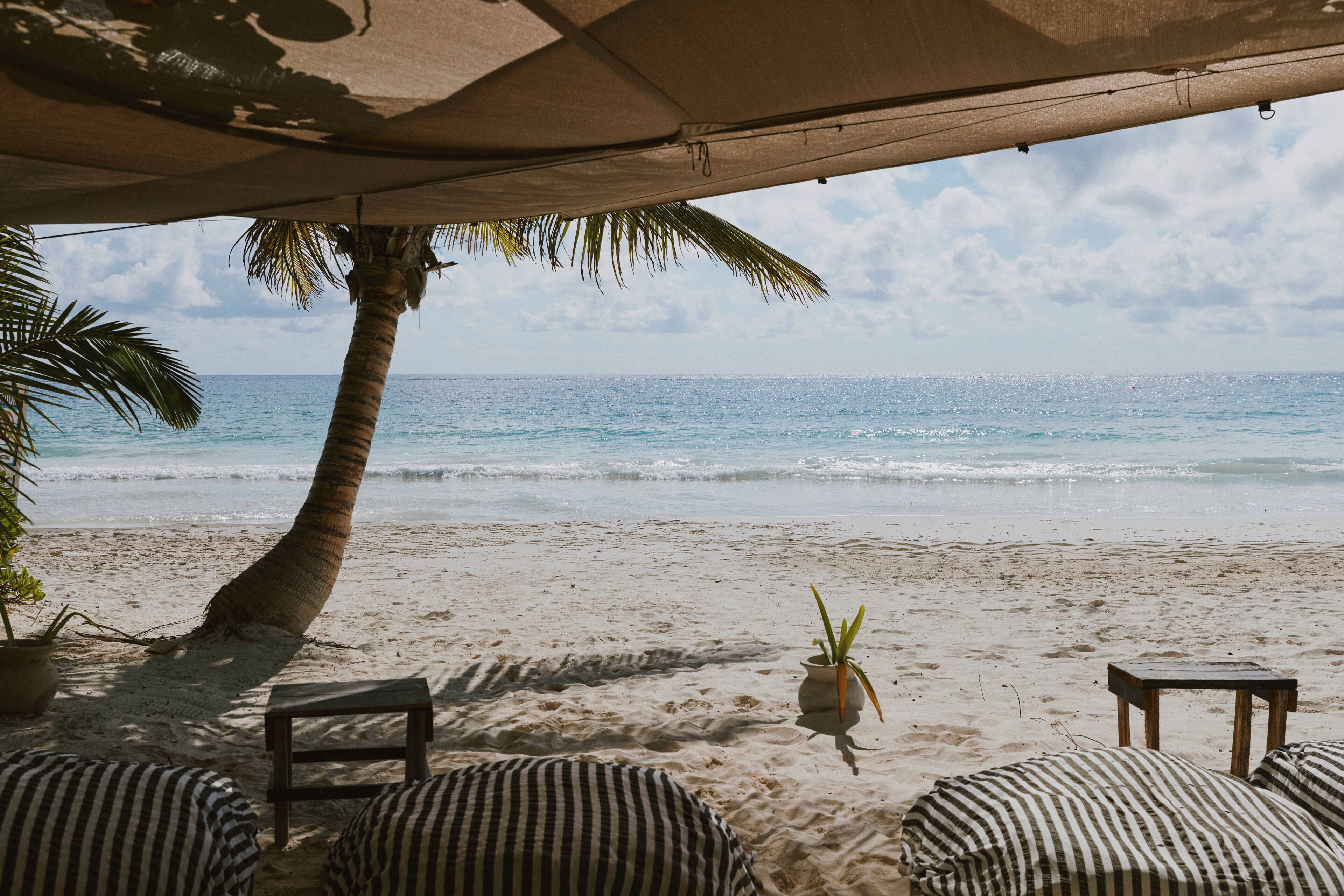 Vista de la playa con una palmera, una mesa pequeña y cojines a rayas.