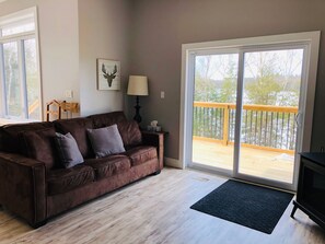 TV connectée, cheminée, lecteur de DVD, livres