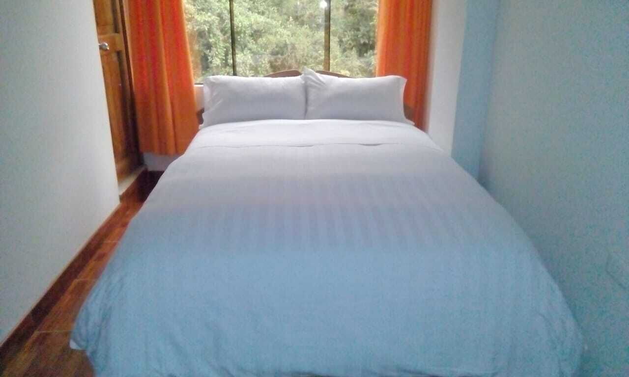 Foto - Hostal Premier Inn