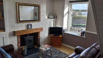 Fernseher, Kamin, Bücher, Stereoanlage