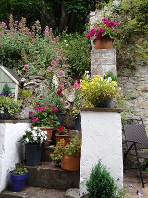 Stroll through this serene garden, surrounded by lush potted plants and vibrant flowers.