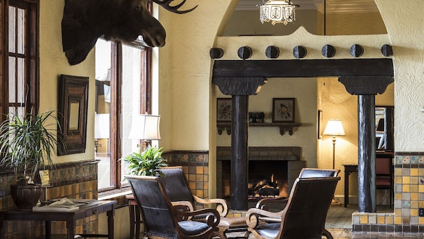 A cozy lobby with a fireplace, leather chairs, and a mounted moose head.