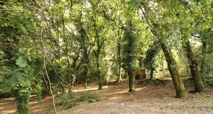 Casa da Avó - Quinta de Areda Wine & Pool Experience