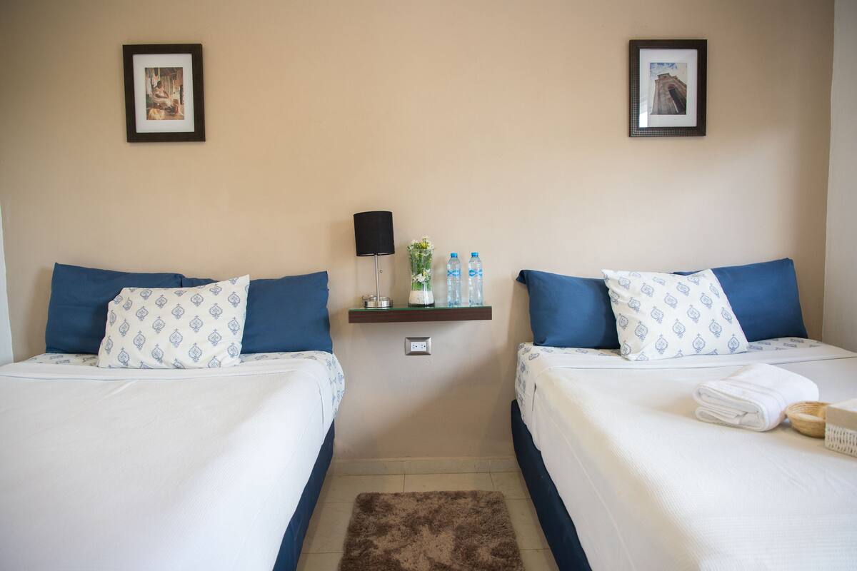 A hotel room with two beds, each with blue and white patterned pillows, a small shelf with toiletries, and a brown rug.