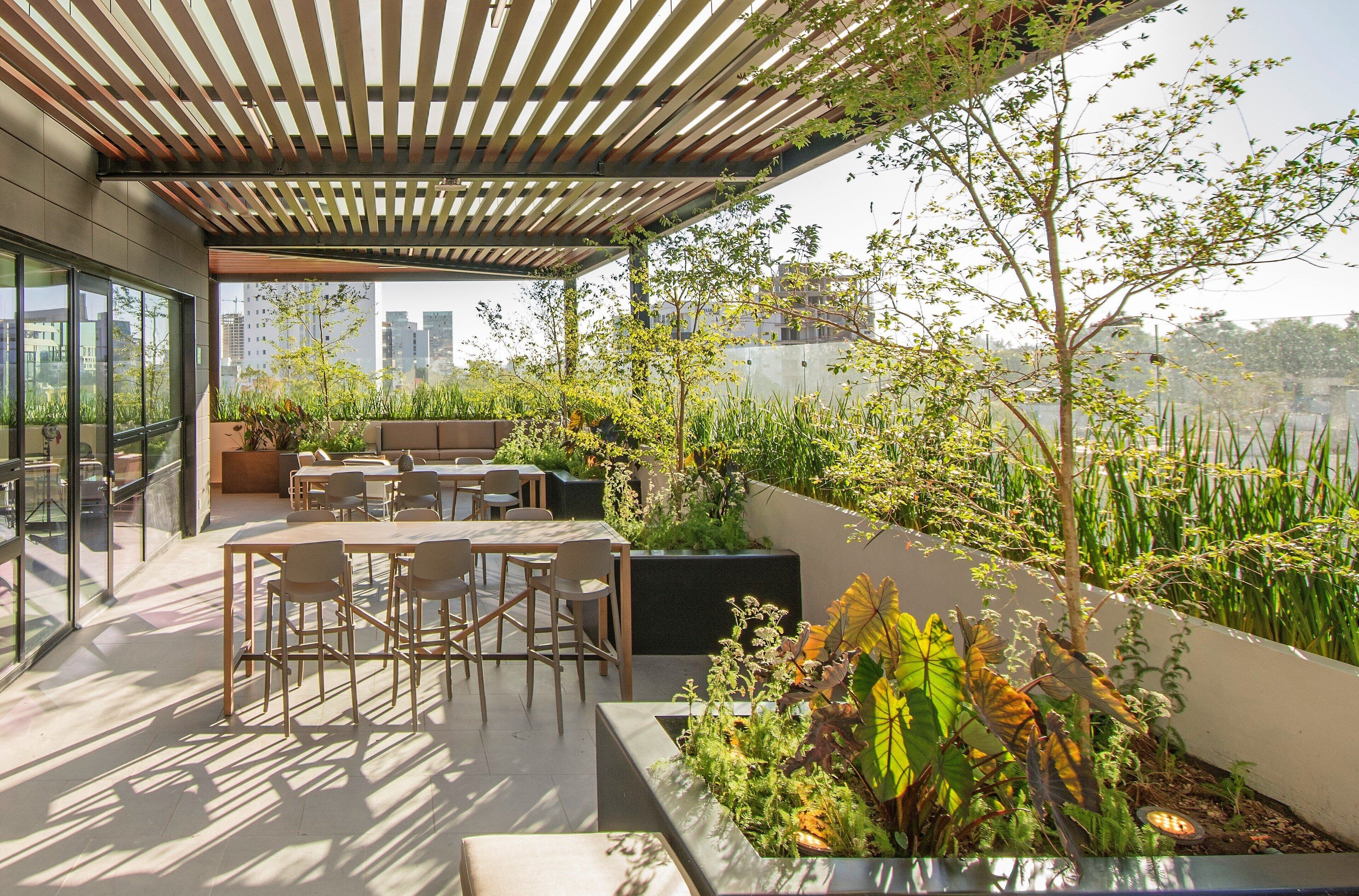 A rooftop terrace with a wooden pergola, outdoor seating, and lush greenery.