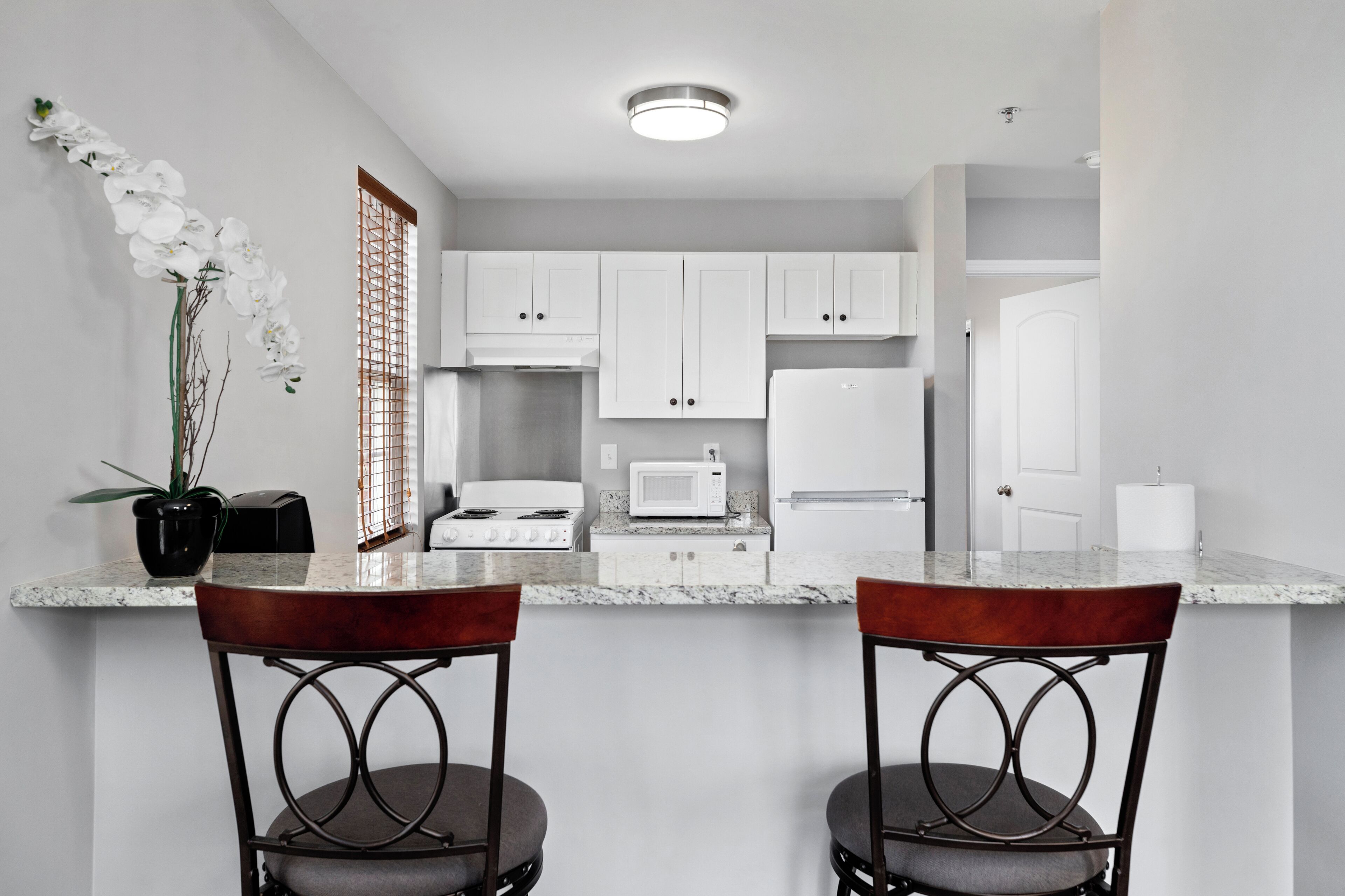 Executive Suite | Private kitchen | Full-size fridge, microwave, oven, stovetop