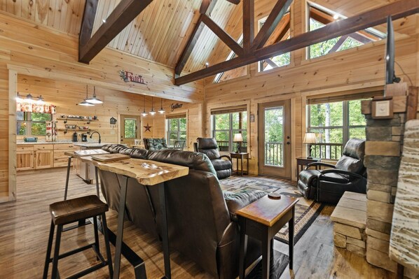 Smart TV, fireplace, books