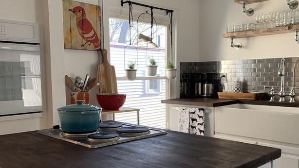 A modern kitchen with a dark countertop, hanging plants, and a bird perched on a string. - The Strand House with hot tub (Kingston)