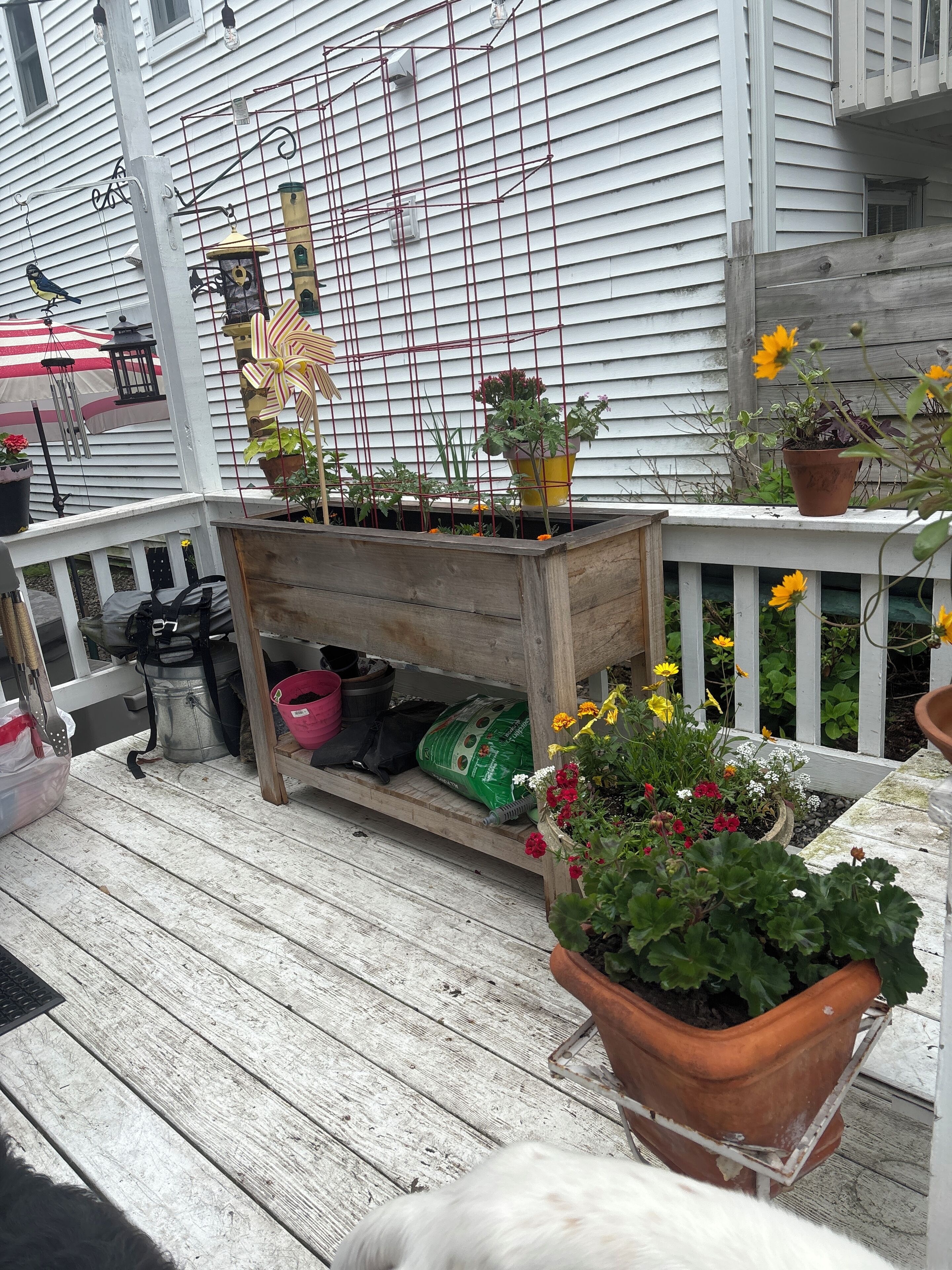Une terrasse en bois agrémentée de plantes en pot, d’une étagère en métal et d’une petite table.