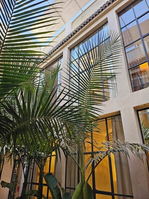 Terraço/pátio