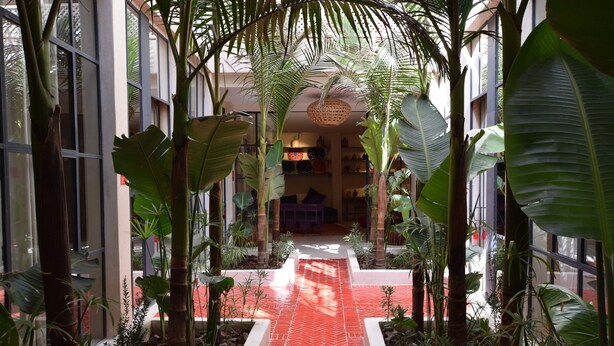A corridor with a red herring pattern floor, surrounded by large tropical plants and glass walls. - Miostello Lifestyle Riad Marrakech (Marrakech)