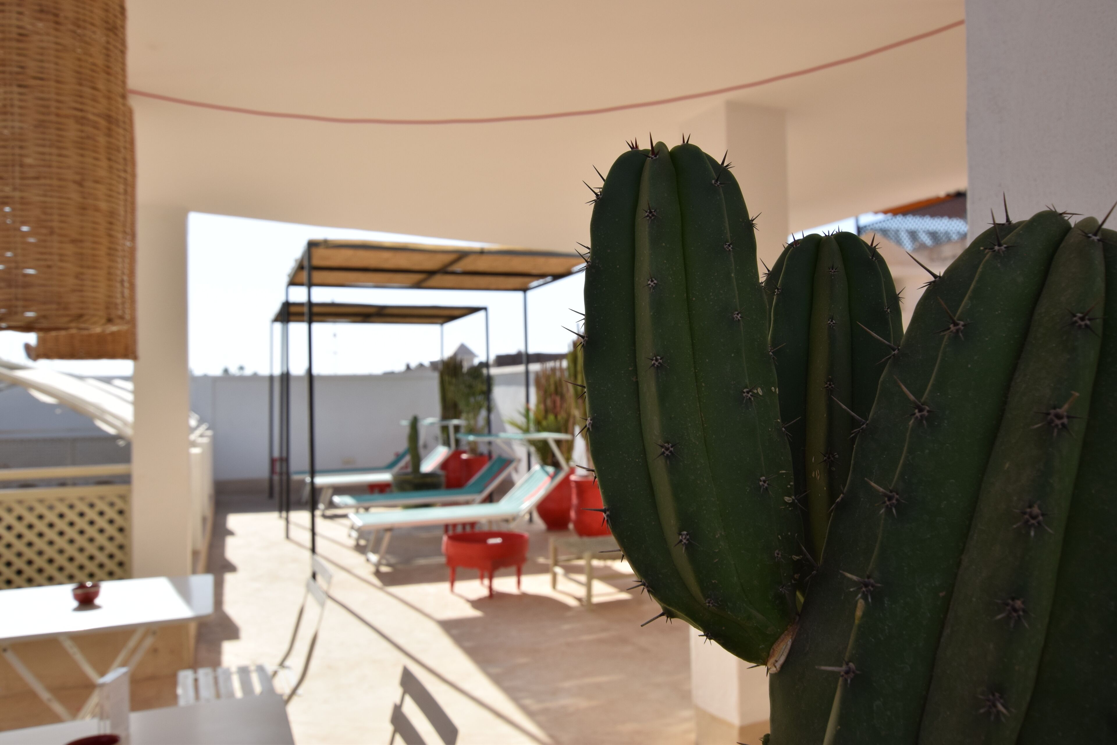 Foto - Miostello Lifestyle Riad Marrakech