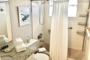 Shower, hair dryer, shampoo, toilet paper