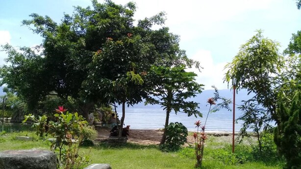 A grassy area with a large tree, a stone bench, and a view of the sea. - Merlyn Guest House (Samosir)