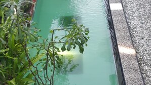 屋外プール