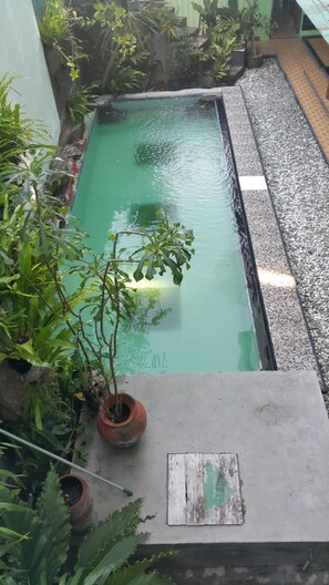 Outdoor pool - Ayodya Guest House (Mataram)