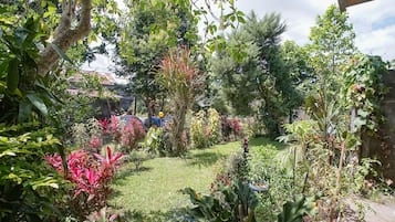 Vườn