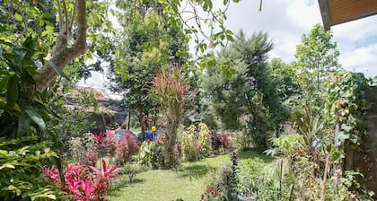 Mountain View Homestay