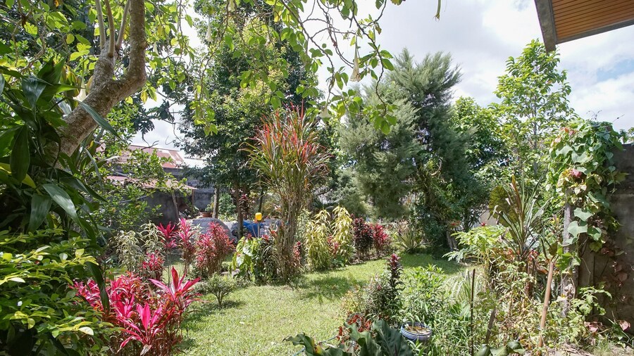 Mountain View Homestay