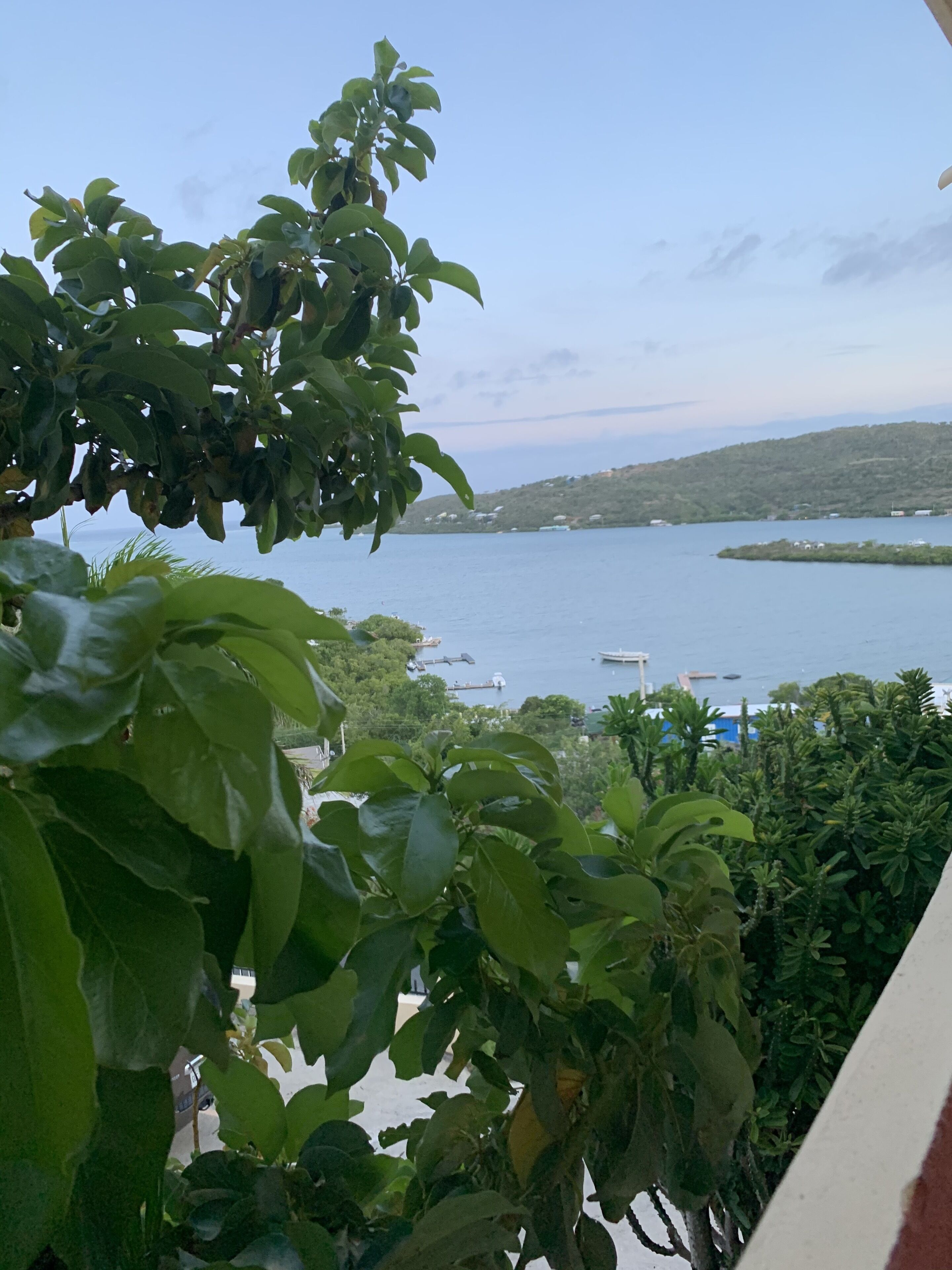 Área da propriedade