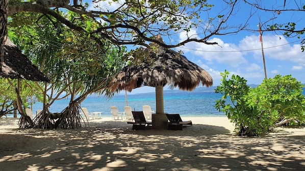Vue sur la plage/l’océan