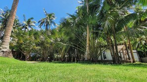 Free self parking - Pili Beach Resort Agmanic (Santa Fe)