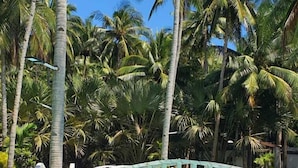 En klar, blå pool omgivet af palmer.