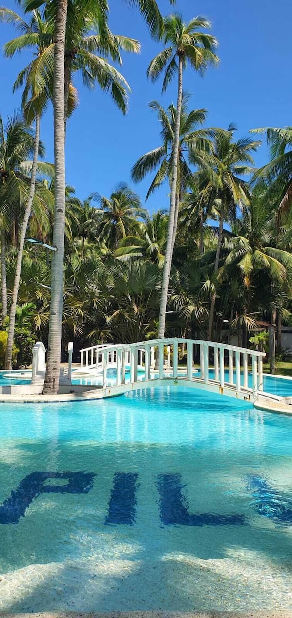 A clear blue pool surrounded by palm trees.