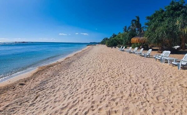 Una playa con hileras de sillas blancas para tomar el sol y palmeras.