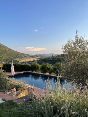 A swimming pool surrounded by greenery, with a view of distant hills and a clear sky.
