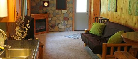 Smart TV, fireplace, DVD player, books