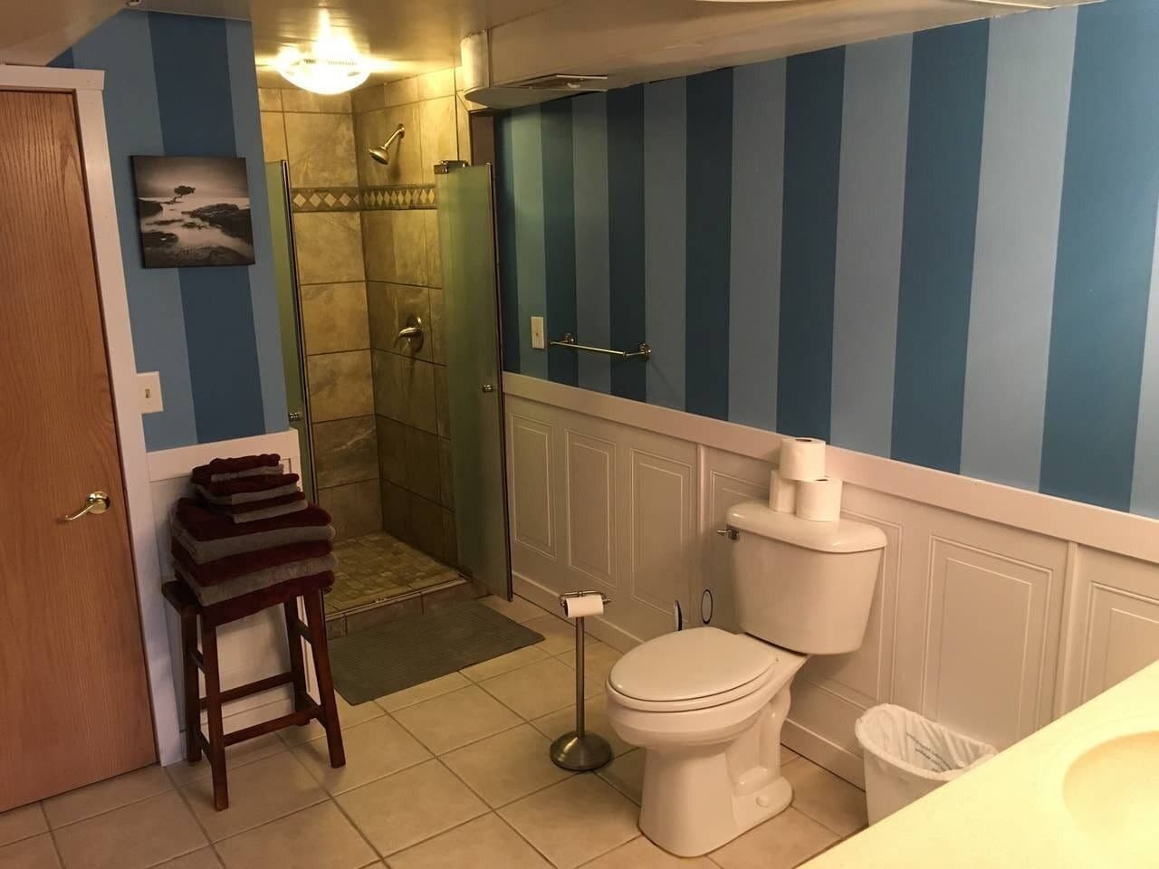 A bathroom with a toilet, a shower, and a sink.