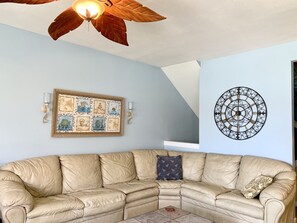 Smart TV, DVD player, books