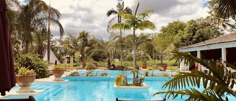 Outdoor pool, open 8:00 AM to 7:00 PM, pool umbrellas, pool loungers