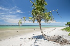 Una playa con una palmera, agua turquesa cristalina y una orilla arenosa.