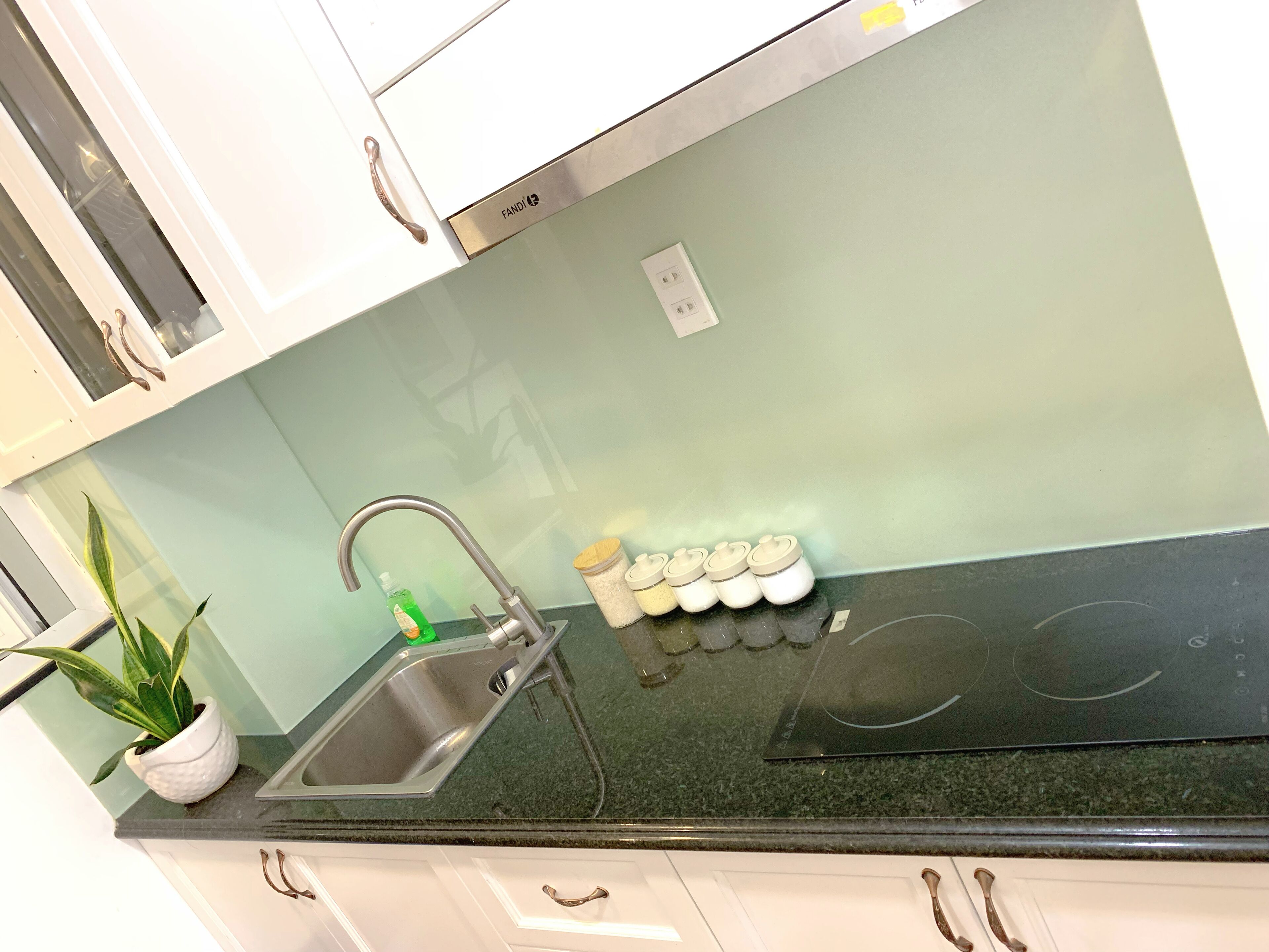 A kitchen with a stainless steel sink, a green plant, and a spice rack.