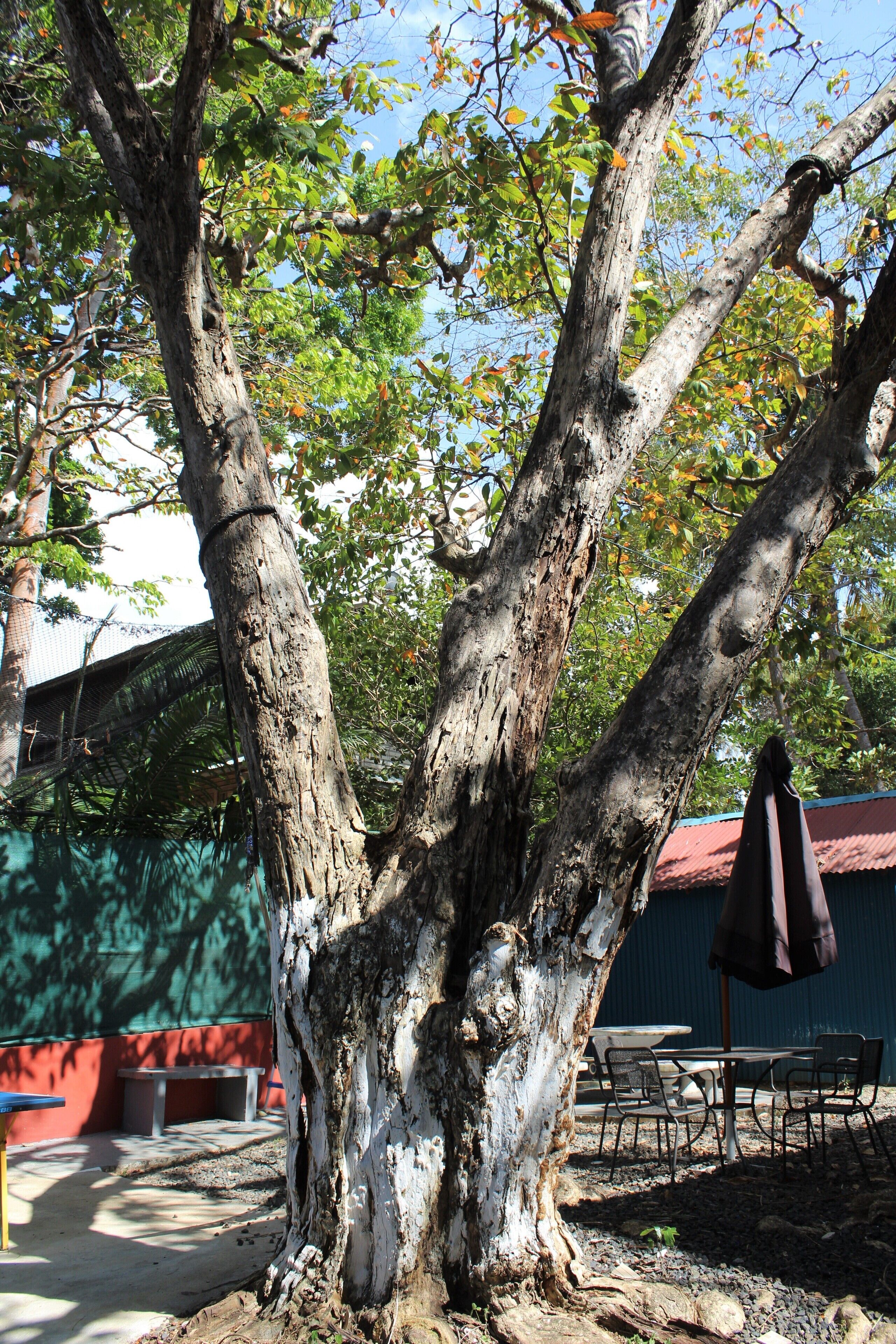 Photo - Hostal Amador Familiar