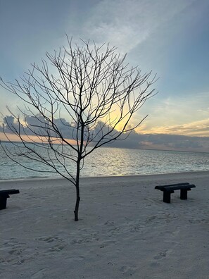 Private beach - Palm Rest (Kaashidhoo)