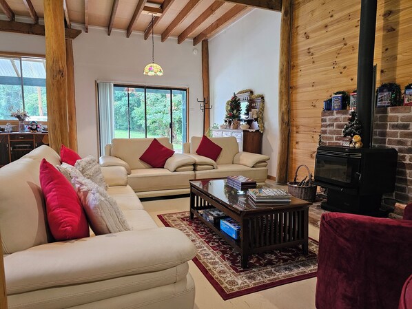 Smart TV, fireplace, books