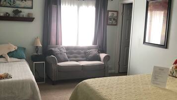 1 chambre, bureau, fer et planche à repasser, lit parapluie