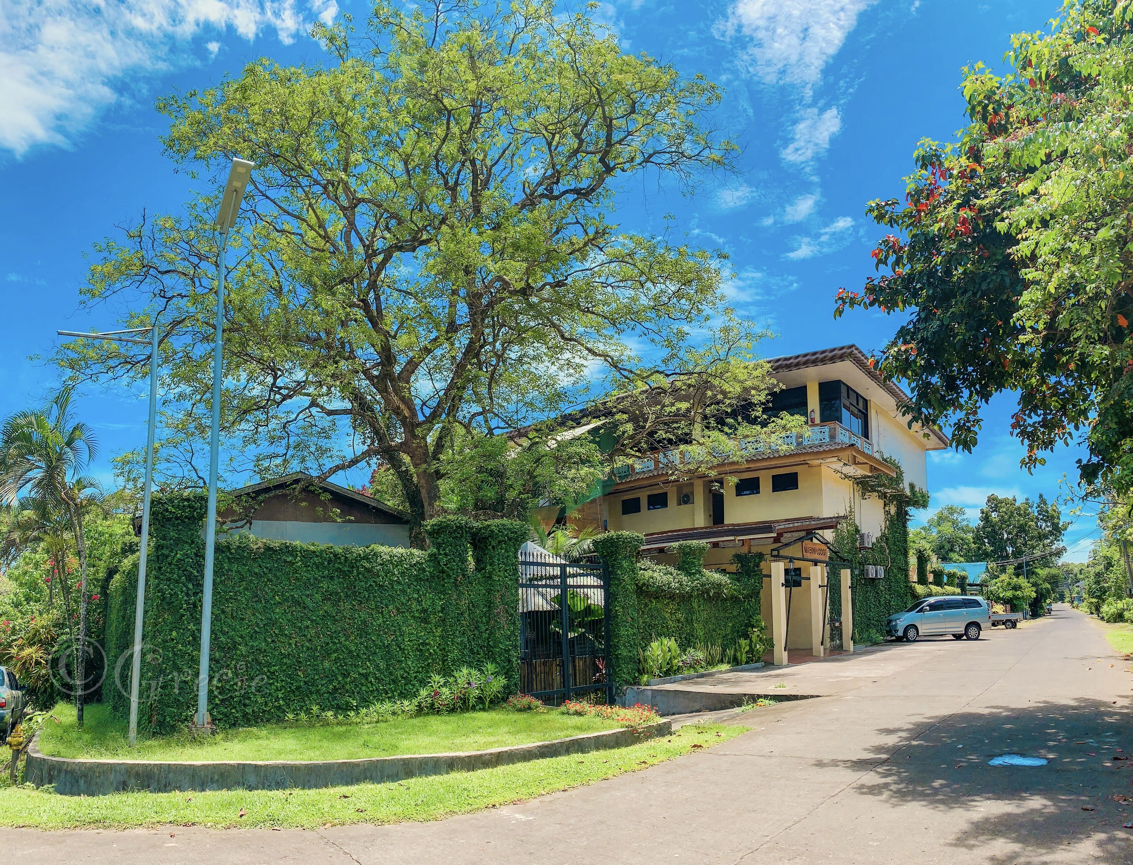 Una casa residencial con un gran árbol en frente, un acceso con portón cerrado y un coche estacionado en la calle.
