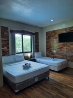 Deluxe Studio | Living area | 40-inch flat-screen TV with cable channels, TV