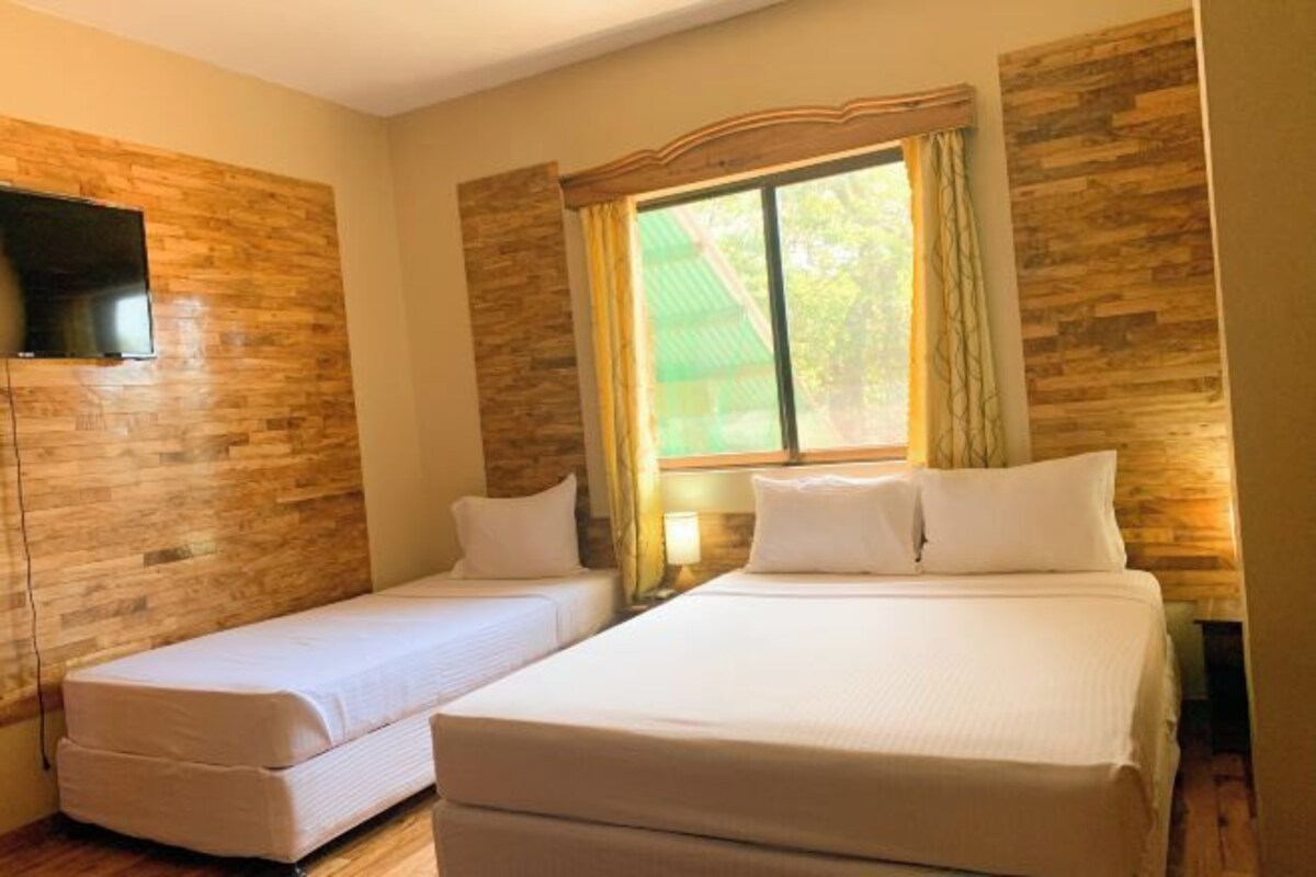 Habitación de hotel con dos camas individuales, un televisor montado en la pared y una ventana con cortinas.